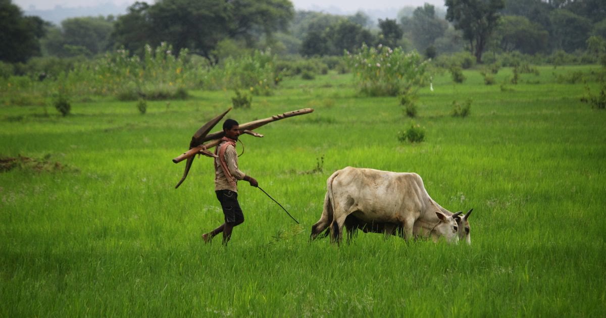 प्रपत्र-2 (स्वघोषणा) नहीं भरने पर क्या होगा?